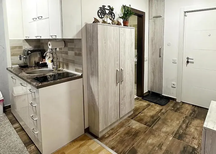 Palace 14 Centar ズラティボール